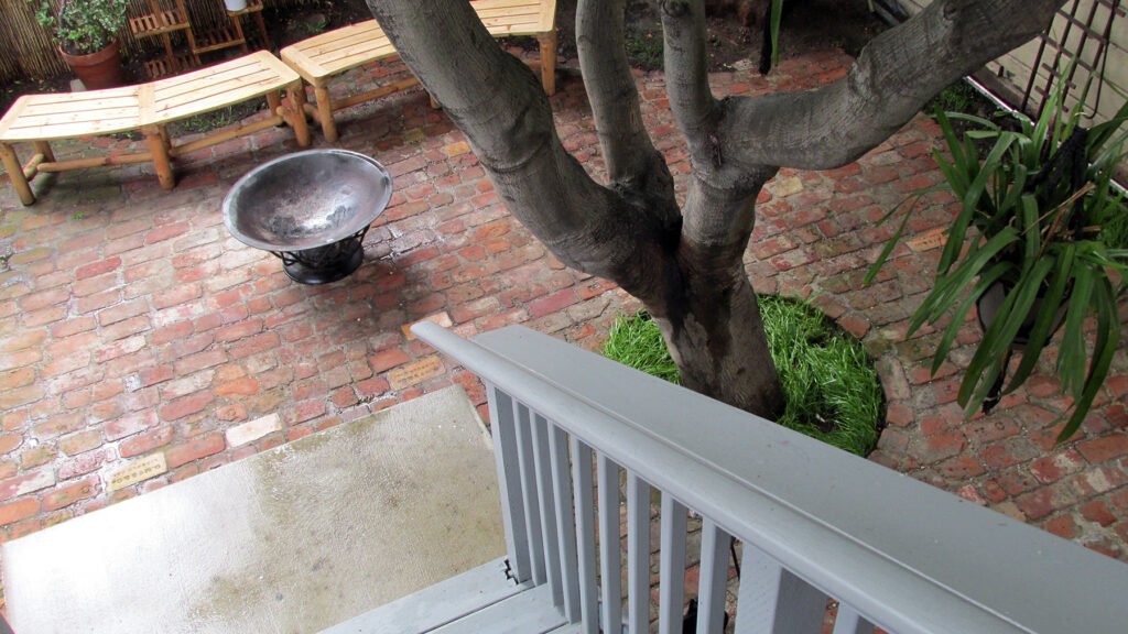 Reclaimed Brick Patio Refresh in Alameda, photo 8